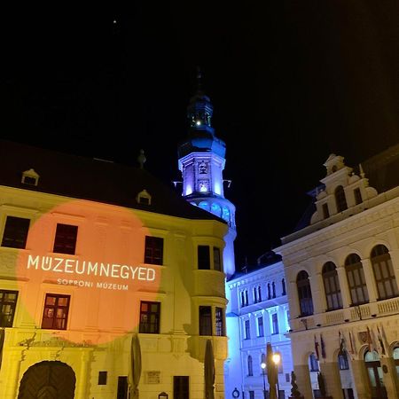 Sicomoro Casa Ödenburg Exterior foto