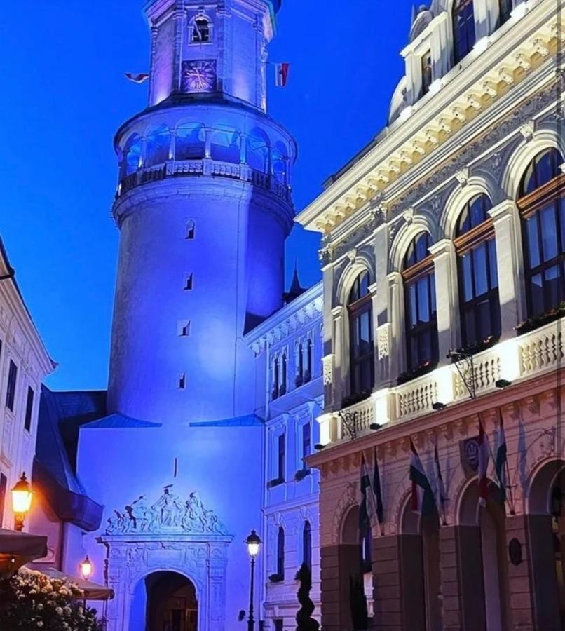 Sicomoro Casa Ödenburg Exterior foto